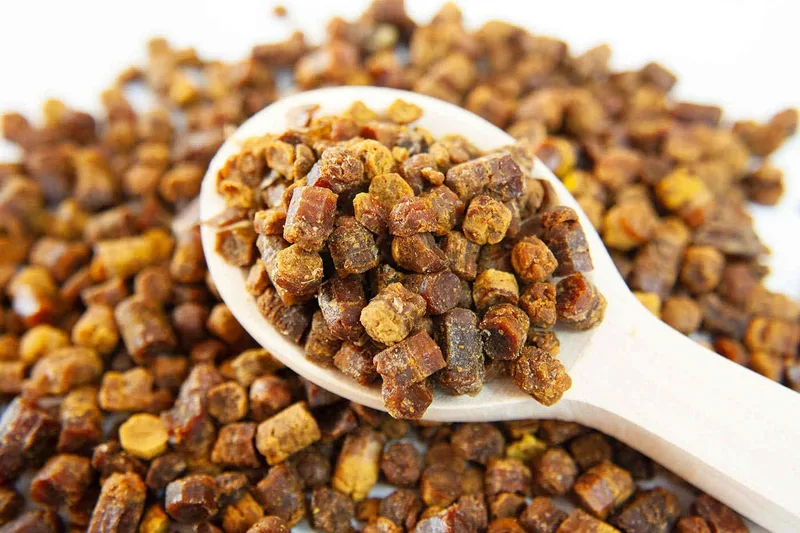 Bee bread fermented granules close-up in wooden spoon